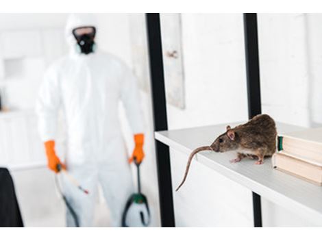Dedetização de Ratos na Vila Rica