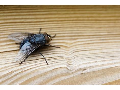 Dedetizadora de Mosquitos no Taboão da Serra